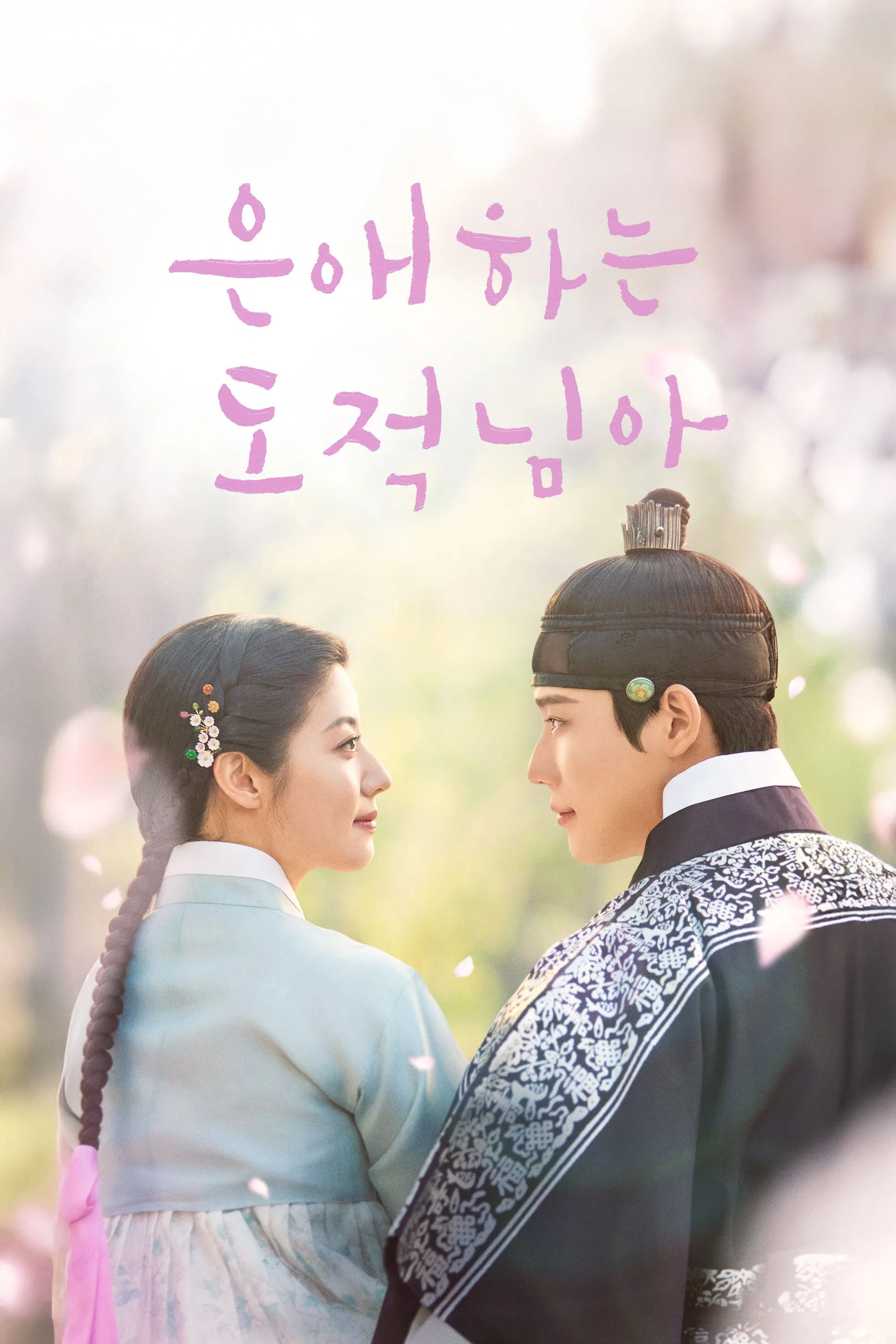 ჩემს საყვარელ ქურდს